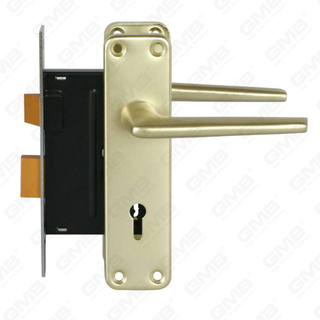 Set serratura ad alta sicurezza con scrocco Set serratura Maniglia serratura serratura (RC04)