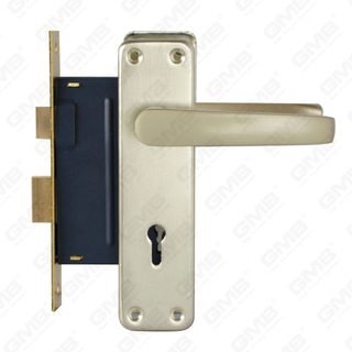 Set serratura ad alta sicurezza con scrocco Set serratura Maniglia serratura serratura (RC229)
