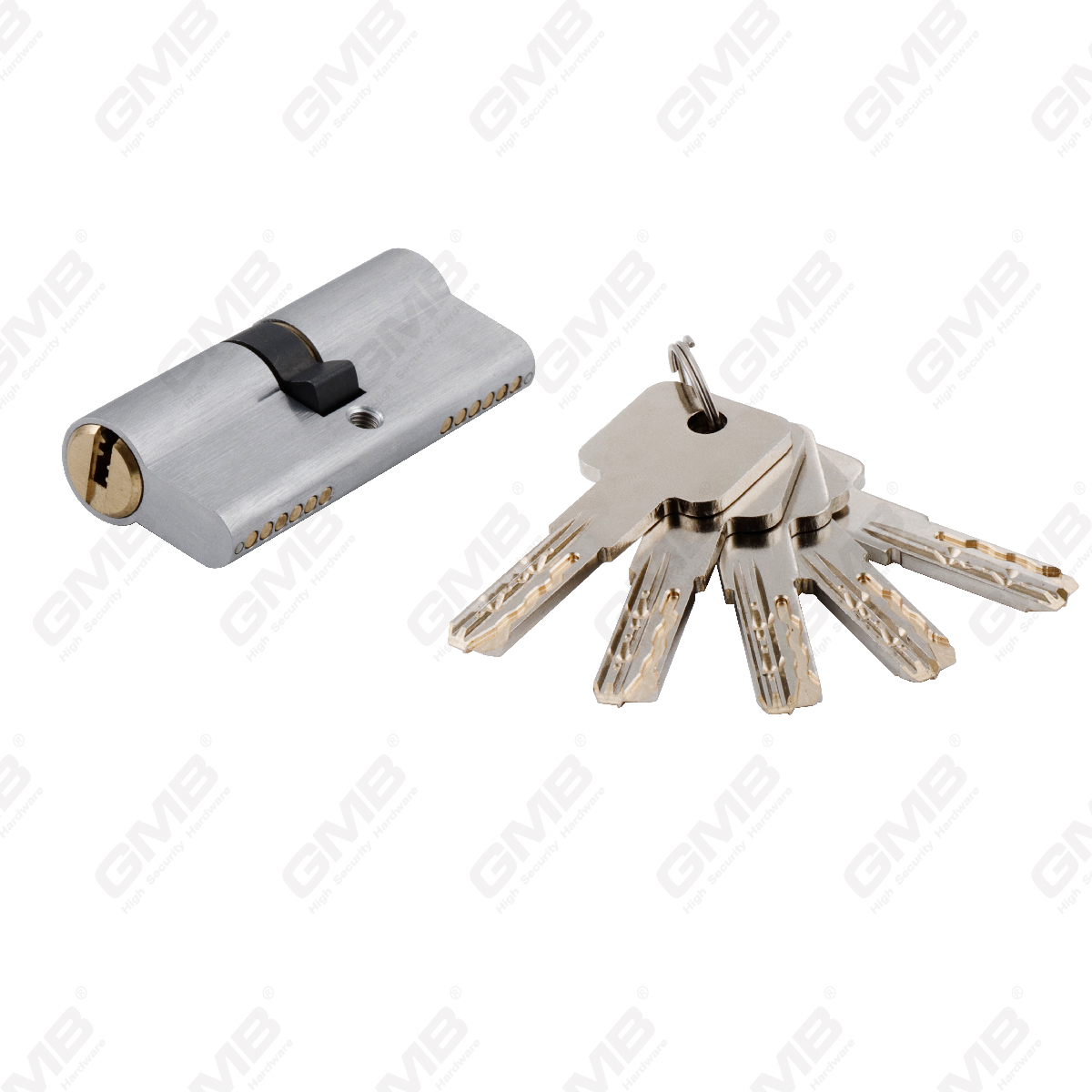 Cilindro di alta sicurezza con Snake Key Way (GMB-CY-26A)