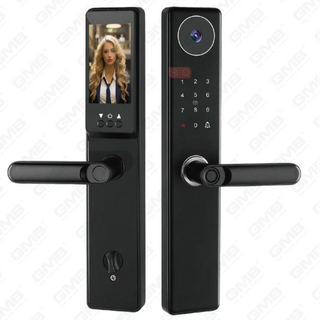 Apprint di impronta digitale/RFID ad alta sicurezza/WiFi/TUYA/TT APP/con fotocamera Intelligent Anti-PEEP Digital Smart Door Lock (934)