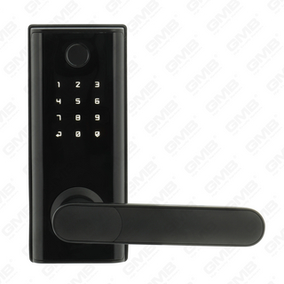 American Standard Waterproof Keyless Entry TUYA/TT Wireless password digitale impronta digitale MF Smart Door Door Lock (A014)