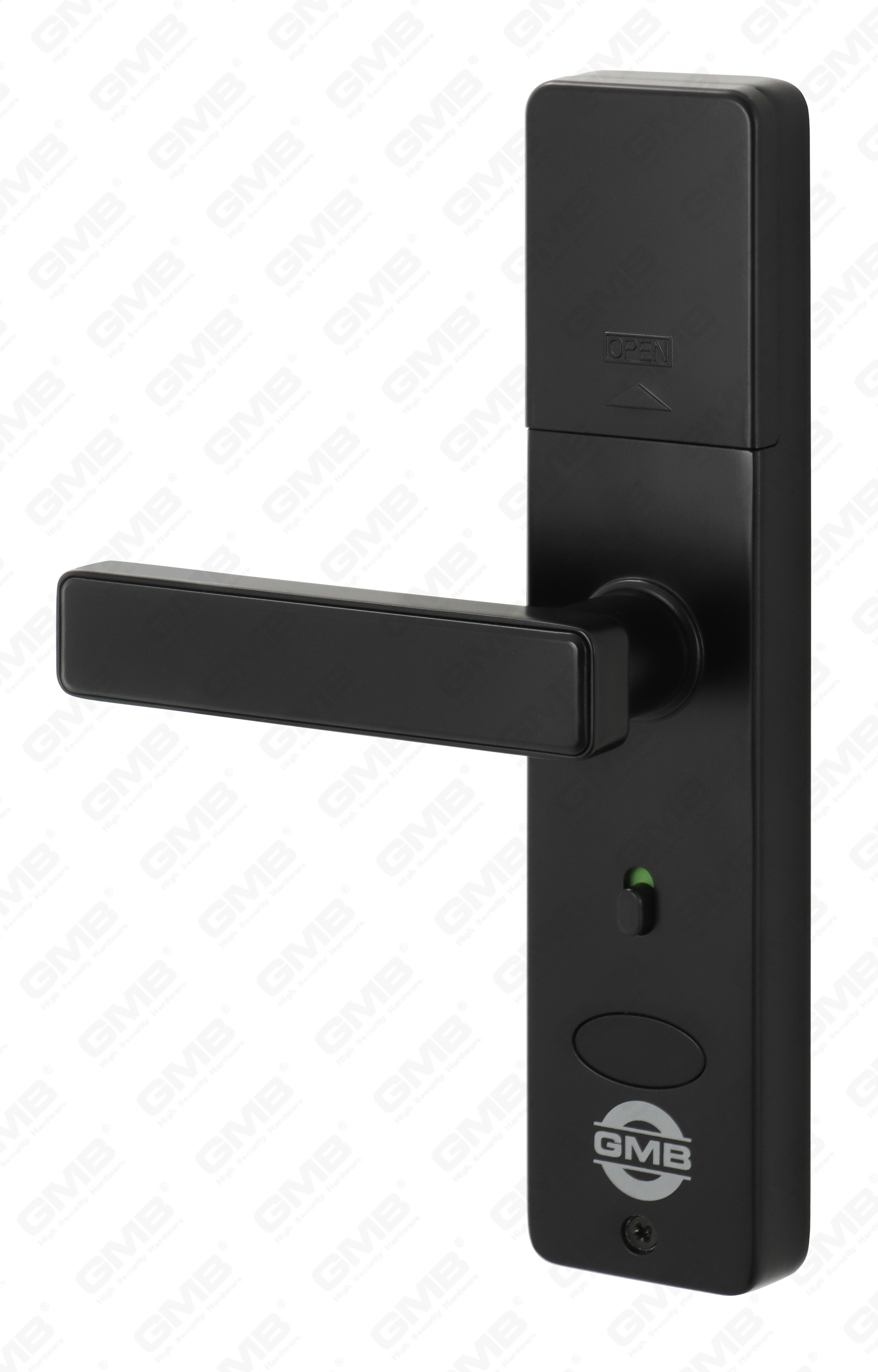 Scheda di impronte digitali/RFID ad alta sicurezza/WiFi/Tuya/TT App Digital Smart Door Lock (660)