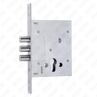 Serratura della porta esterna di alta sicurezza/corpo della serratura per impieghi gravosi/serratura della porta da infilare (257L-C)