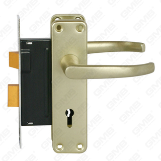 Set serratura ad alta sicurezza con chiavistello Set serratura Maniglia serratura serratura (RC03)