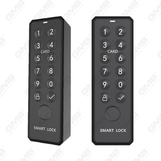 Keyless Password europeo senza chiavetta impronta digitale wireless remoto (P001)