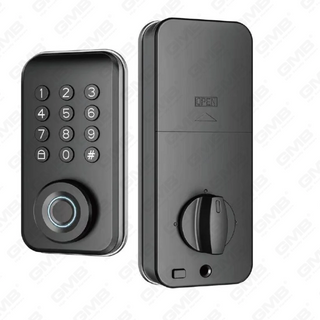 Scheda di impronte digitali/RFID ad alta sicurezza/WiFi/Tuya/TT App Digital Smart Door Lock (706)