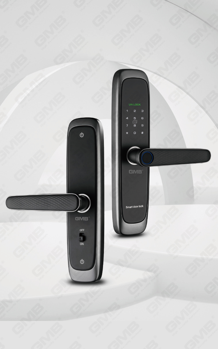 Interior & Apartment Smart Lock (635)