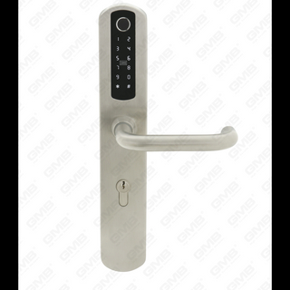 INGRESSO EURIERA INTERRATTO STANDETRO CHIAVE INDIETRO TT TT WIRELESS DIMASSAGGIO DIMATIVE MIF SMAR Smart Door Lock (U021)