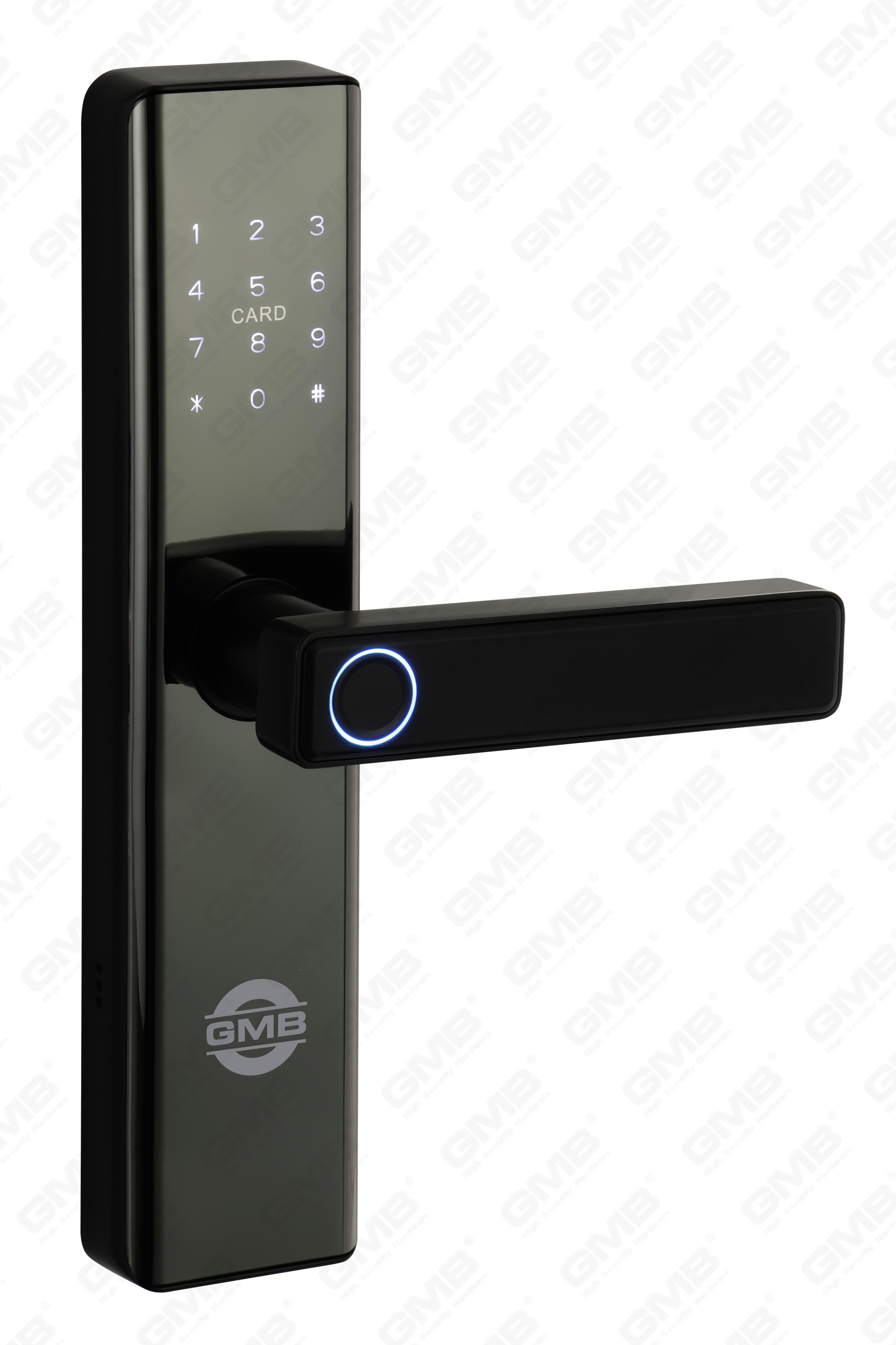 Scheda di impronte digitali/RFID ad alta sicurezza/WiFi/Tuya/TT App Digital Smart Door Lock (660)