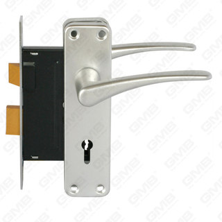Set serratura ad alta sicurezza con chiavistello Set serratura Maniglia serratura serratura (RC02)