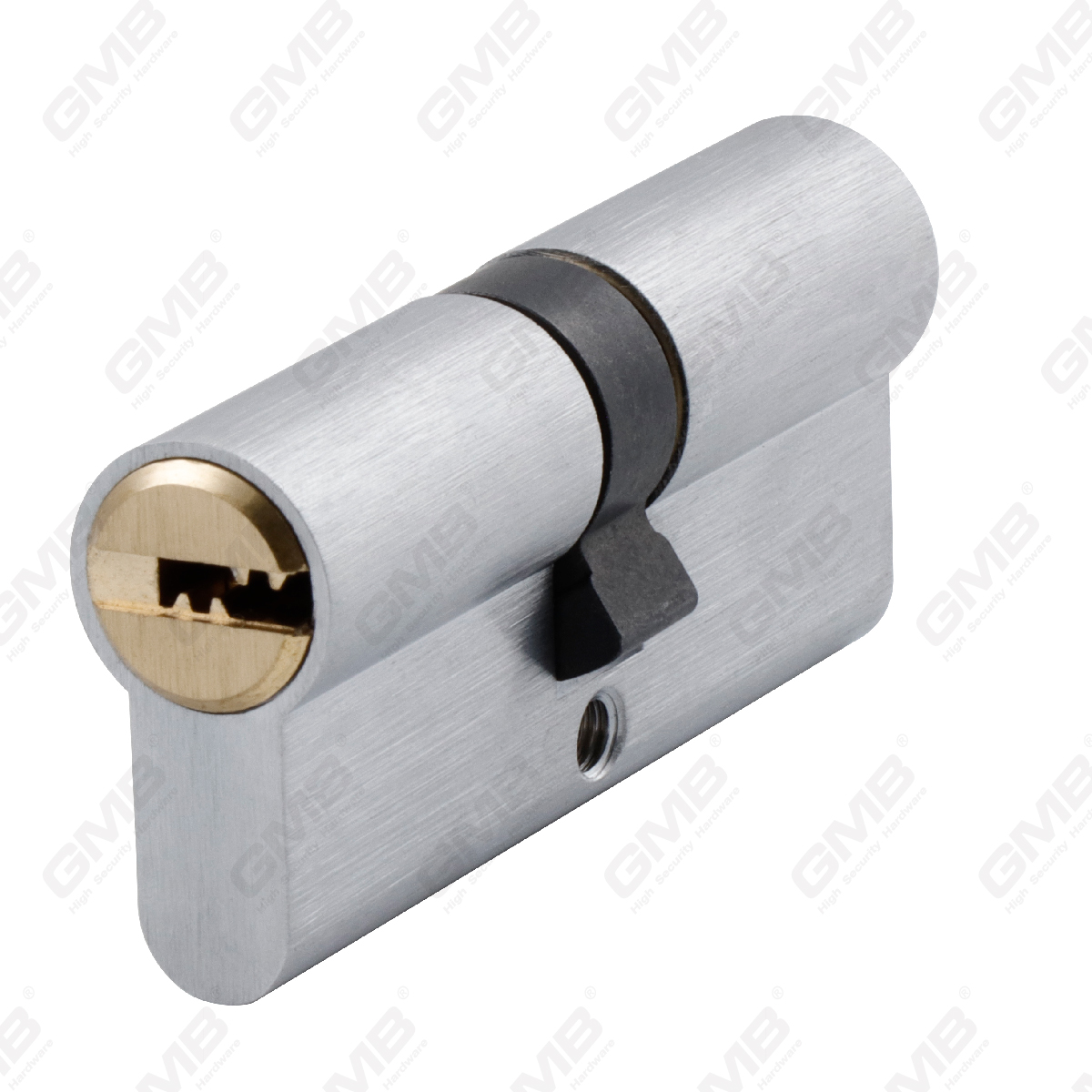 Cilindro di alta sicurezza con Snake Key Way (GMB-CY-26A)