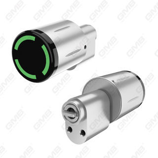 Cilindro elettronico bernocol di blocco della scheda nfc smart nfc biometrici (3A03)