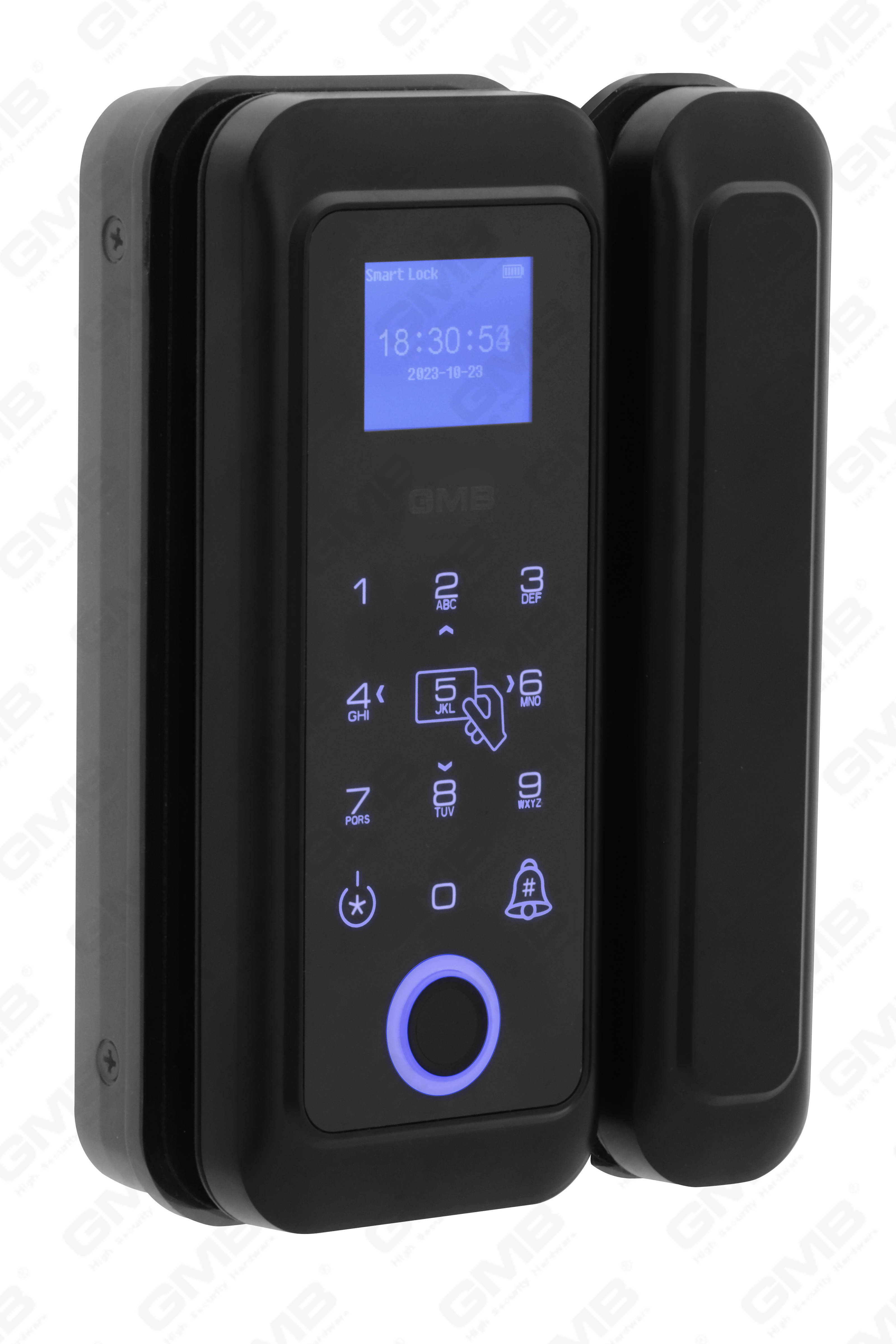 Scheda di impronte digitali/RFID ad alta sicurezza/WiFi/TUYA/TT App Digital Smart Glass Lock (254)