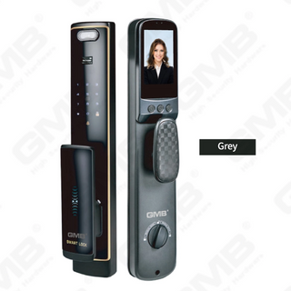 Face Riconoscimento Smart Lock (823)