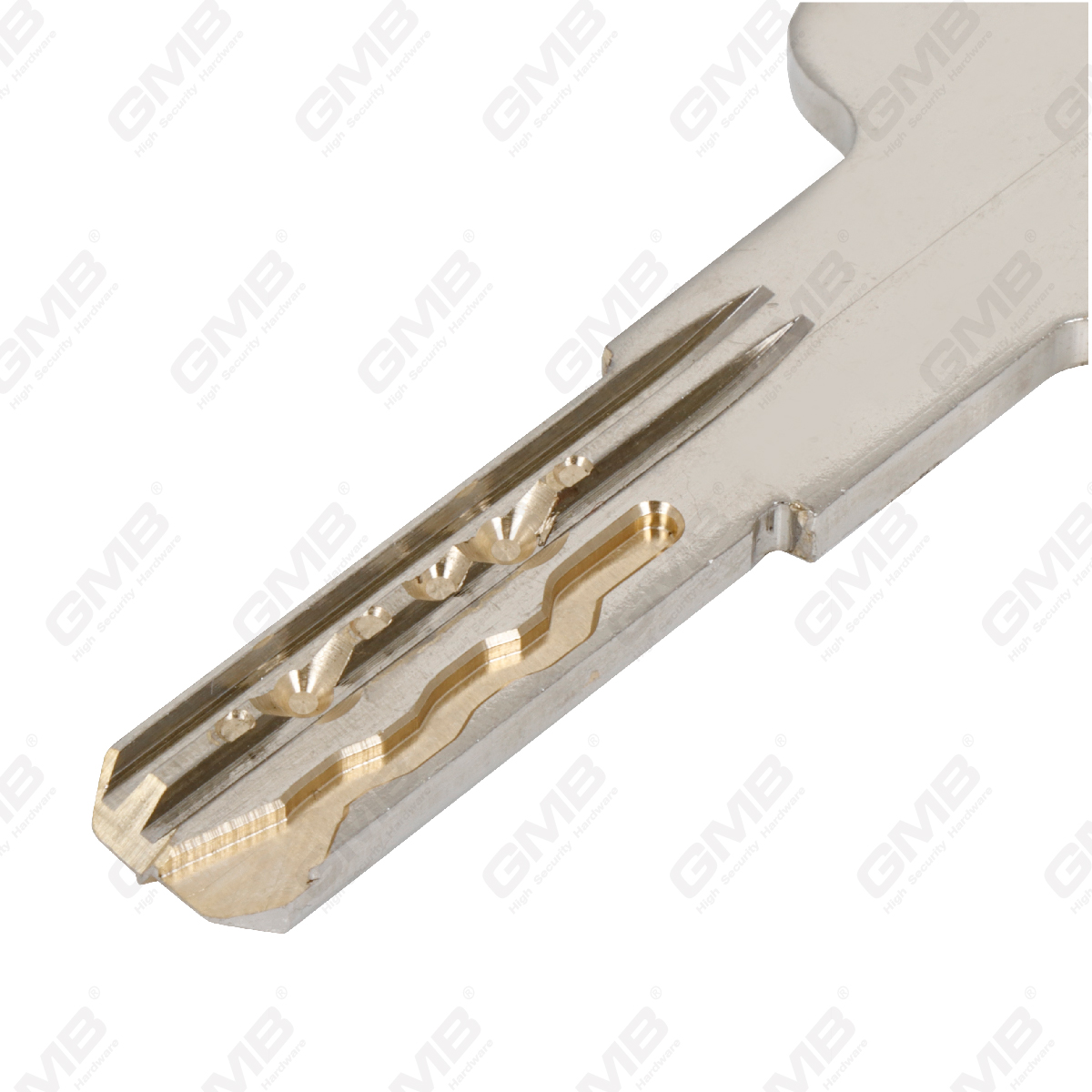 Cilindro di alta sicurezza con Snake Key Way (GMB-CY-26A)
