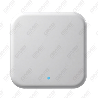 TTLOCK GATEWAY WiFi Smart Digital Gateway per Smart Lock Remote Control (G2)