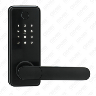 American Standard Waterproof Keyless Entry Tuya/TT Wireless Digital Password digitale Fingerprint MF Smart Door Door Lock (A012)