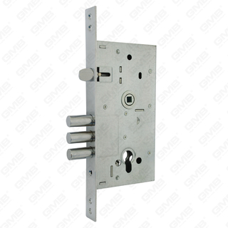 Serratura della porta esterna di alta sicurezza/corpo della serratura per impieghi gravosi/serratura della porta da infilare [252RL-C]