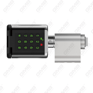 Modi multi-un blocco di alta sicurezza IP66 Password impronta digitale senza chiave WiFi Digital Regolable Modulare Profilo Tuya/TT App Smart Electronic Lock Cilinder (5D03)