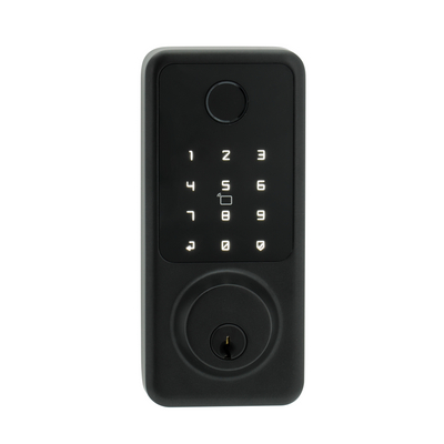 American Standard Waterproof Keyless Entry TUYA/TT Wireless password digitale impronta digitale MF Smart Door Door Lock (A027)