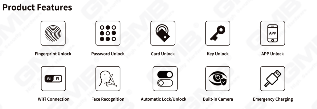 Face Riconoscimento Smart Lock (825)