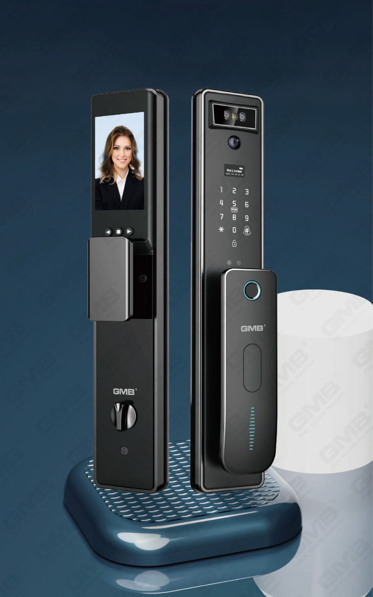 Face Riconoscimento Smart Lock (825)