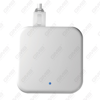 G3P Wifi ble Poe ttlock Gateway per smart blocco e altri dispositivi TTLOCK (G3P)