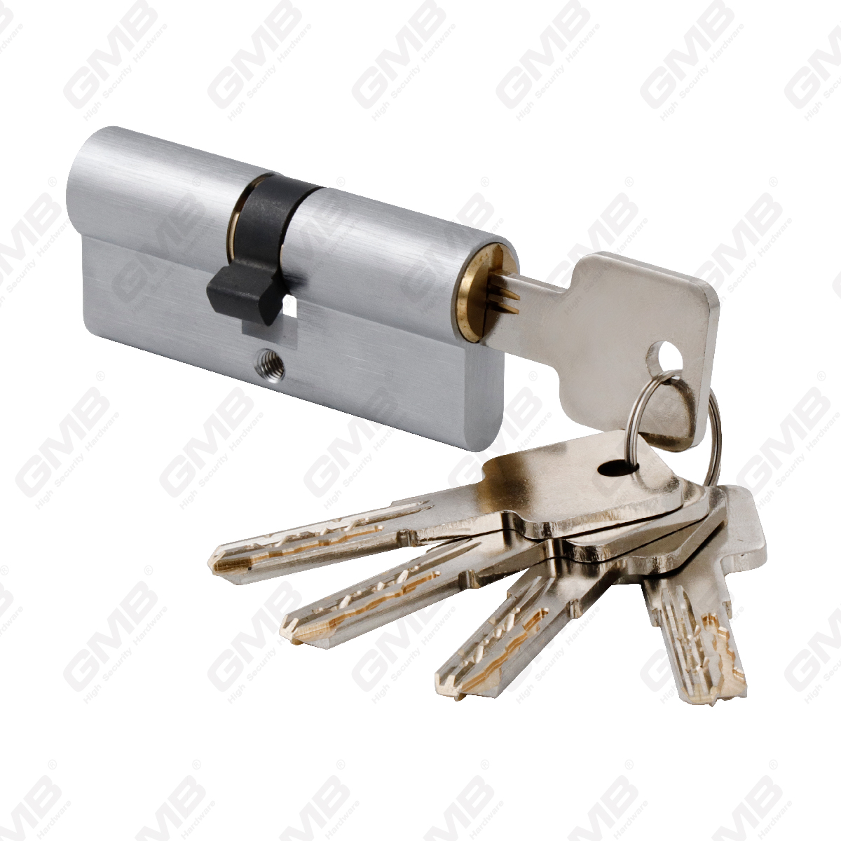 Cilindro di alta sicurezza con Snake Key Way (GMB-CY-26A)