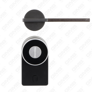 European Keyless Entry TT App Password Remote Wireless Digital Smart Door Lock (U009)