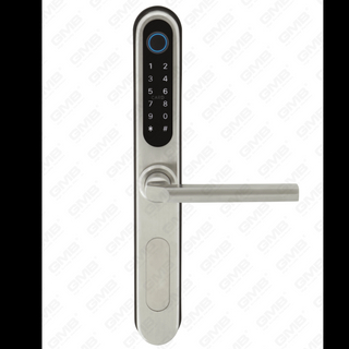 INGRESSIONE EURIERALE INTERRUTTO INTERRUTTO INSTRADATURA TUYA/TT Password digitale wireless Fingerprint MF Card NFC Smart Door Lock (U052)