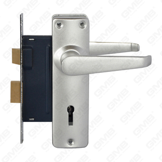 Set serratura ad alta sicurezza con chiavistello Set serratura Maniglia serratura serratura (RC680-95)