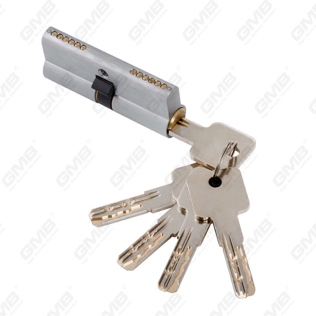 Cilindro di alta sicurezza con Snake Key Way (GMB-CY-26A)