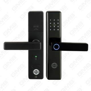 Scheda di impronte digitali/RFID ad alta sicurezza/WiFi/Tuya/TT App Digital Smart Door Lock (660)