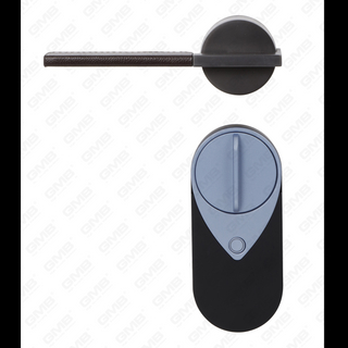 European Keyless Entry Tuya App Password Fingerprint Remoto Wireless Digital Smart Door Lock (U012)