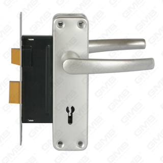 Set serratura ad alta sicurezza con scrocco Set serratura Maniglia serratura serratura (RC01)