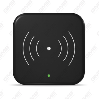 Appositore WiFi TTLOCK ENCCEDER CARDODER IC E3 ECCODER SCHEDER per lettore per la porta dell'hotel (E3)