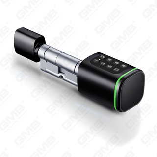 Biometrico Smart NFC Card Password Blocco Blocco Elettronica Elettronica Electronic Cilindro (S1 KK)