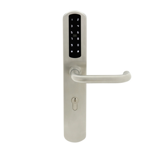 INGRESSO EURIERA INTERRATTO STANDATORI INDIETRO TT TT Wireless Digital Password MF Smart Door Lock (U020)