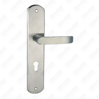 Manico della maniglia della porta della porta in acciaio inossidabile di alta qualità #304 (HL902-HK09-SS)
